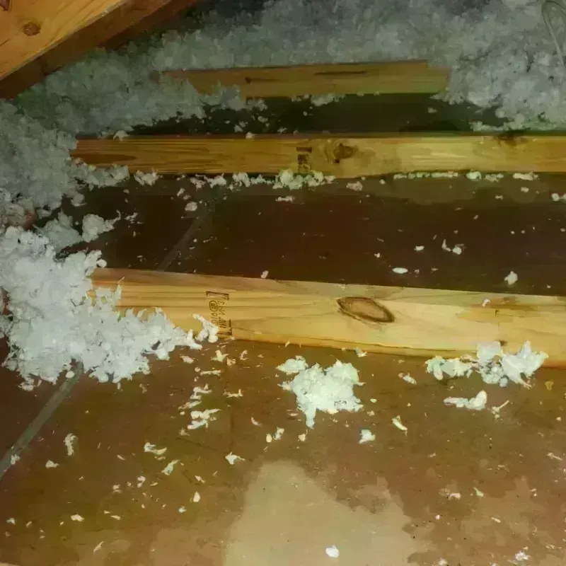 Attic Water Damage in Osseo, MN