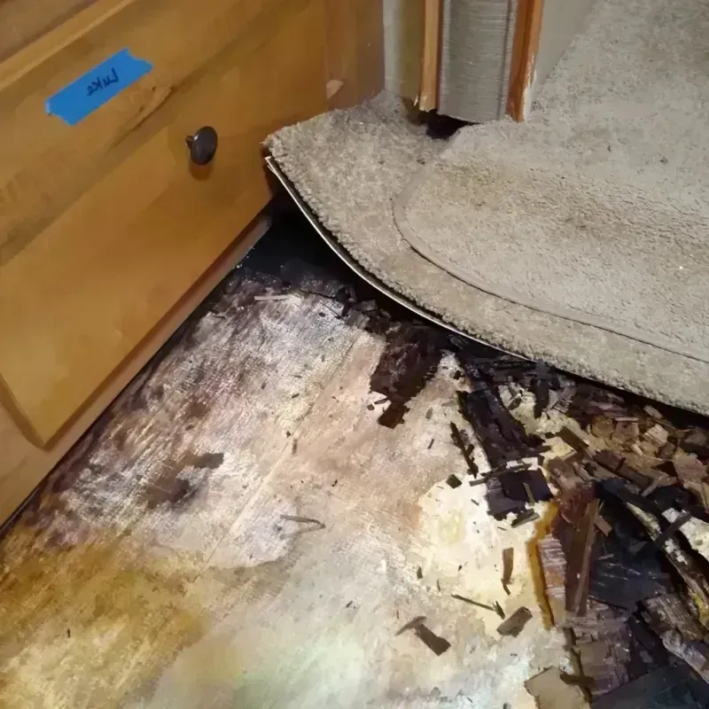 Best Wood Floor Water Damage Service in Osseo, MN